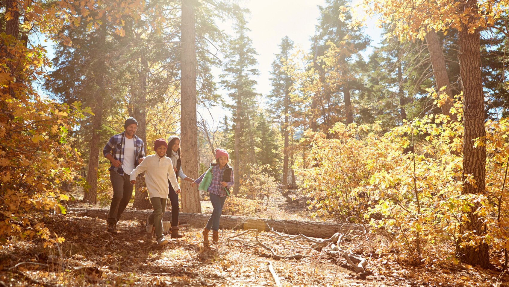 Parents and two children hike through the woods on a sunny autumn day